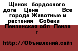 Щенок  бордоского  дога. › Цена ­ 60 000 - Все города Животные и растения » Собаки   . Пензенская обл.,Пенза г.